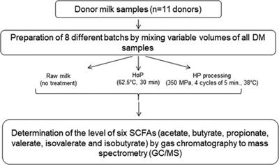 Short-chain fatty acids levels in human milk are not affected by holder pasteurization and high hydrostatic pressure processing